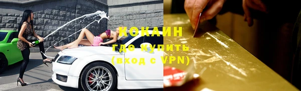 стафф Богородск