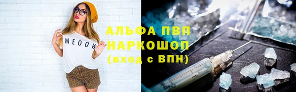 стафф Богородск