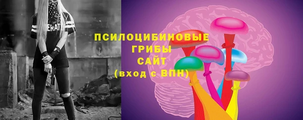 стафф Богородск