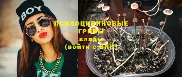 мяу мяу кристалл Богданович