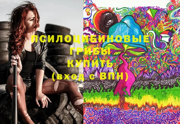 стафф Богородск
