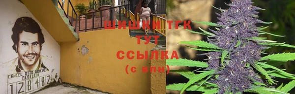 мяу мяу кристалл Богданович