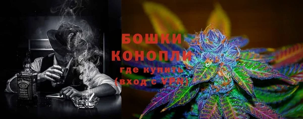 сатива Богородицк